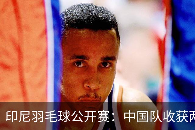 印尼羽毛球公开赛：中国队收获两项亚军