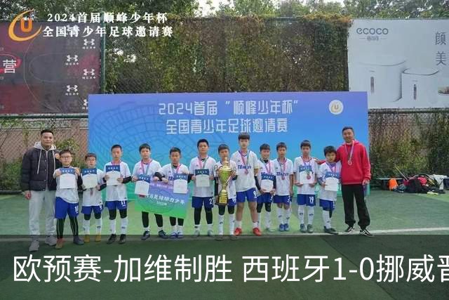 欧预赛-加维制胜 西班牙1-0挪威晋级欧洲杯正赛