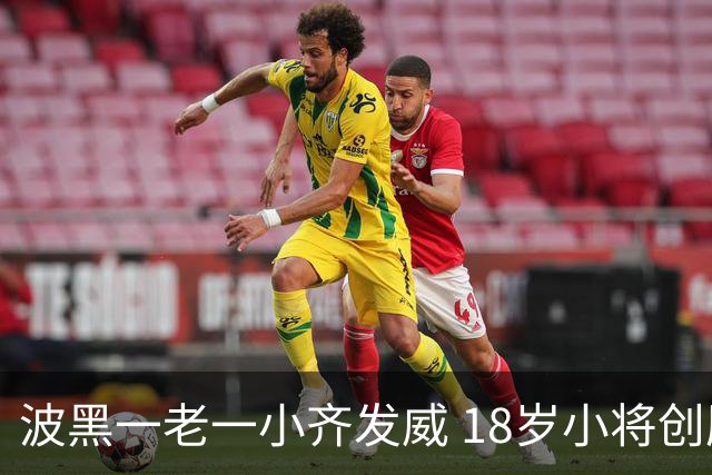 波黑一老一小齐发威 18岁小将创历史哲科完成里程碑