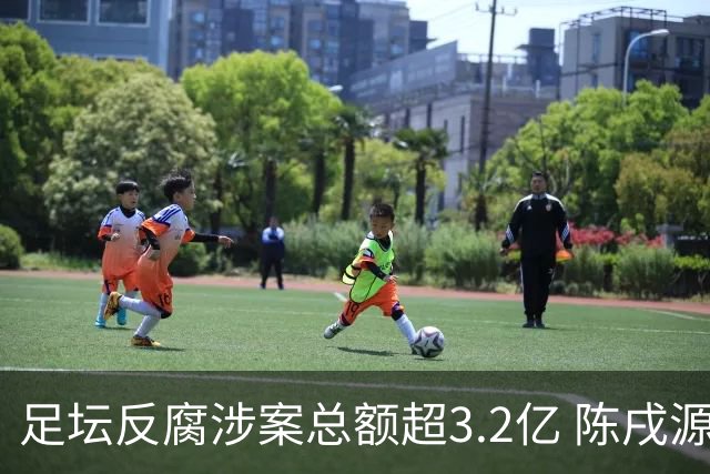 足坛反腐涉案总额超3.2亿 陈戌源李铁2人达2亿